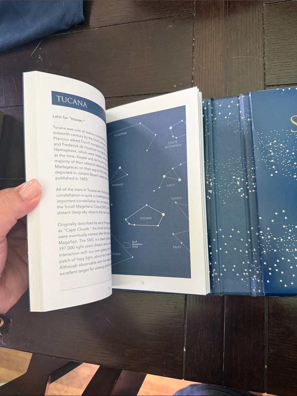Moonology Manifestation Oracle Cards by - Purple